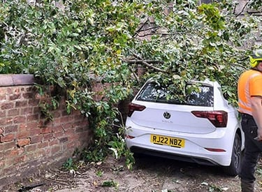 Emergency Callout to a tree fallen on a car