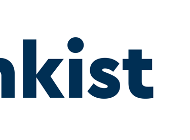 koorosh-shojaei-blinkist