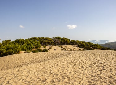 Patara zandduinen