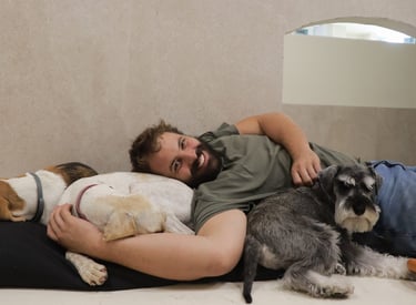 cuidador canino con perros descansando en una guardería canina