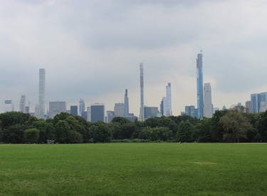 skyline di new york vista dal central park