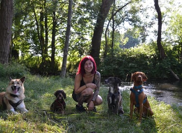 Dogz Erding Mobile Hundeschule