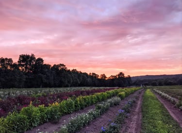 The River Garden Flower Farm