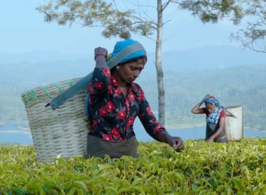 a woman in a hat and a basket basket with a basket on top of it