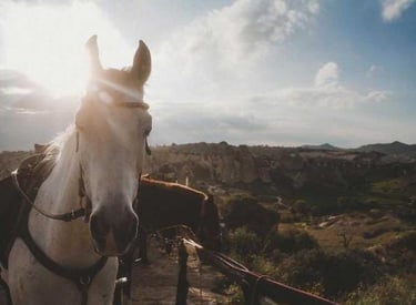 Horse Ranch Cappadocia