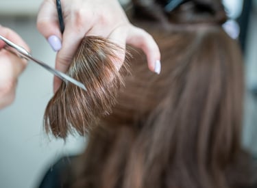 Haircut close-up with scissors and brown hair