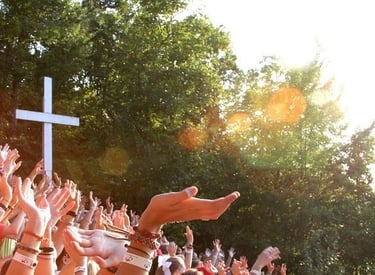 crowd's joy