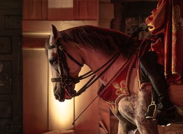 magnifique photographie d'un cheval marchant dans l'eau , lumière vive et tamisé en intérieur