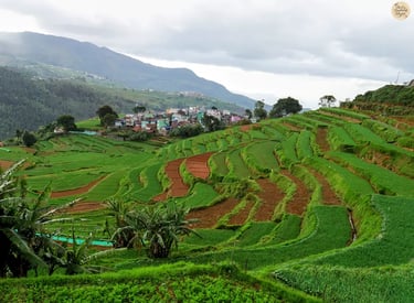 Terrace farms on mountain slopes at Poondi Village, Kodaikanal with mist.
