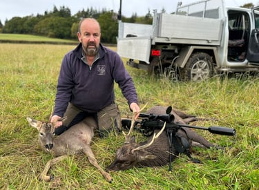 two deer freshly culled