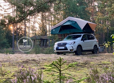 Big Willow palapine Subaru