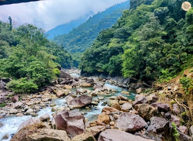 Jungle Trails and Murmuring Streams – En Route to the Double Decker Root Bridge