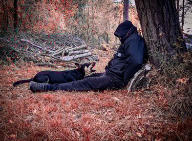 Un chien de sauvetage en surface indiquant la présence d'une victime dans un bois