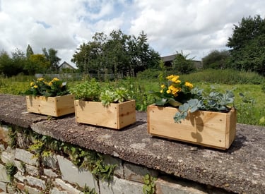 3 petites jardinières en bois fleuries