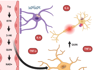 Hipótesis de neurodegeneración en Esclerosis Múltiple Progresiva