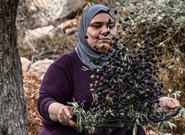 Help Palestinian families with your donations