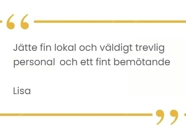 Customer Review 1 (Lisa)
