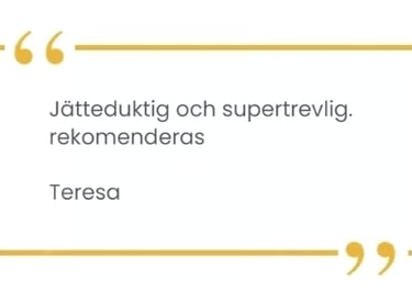 Customer Review 11 (Teresa)