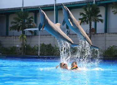 Bali Exotic Marine Park