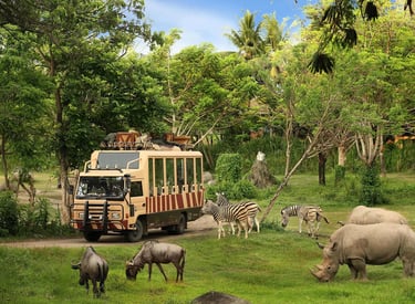 Bali Safari Marine Park