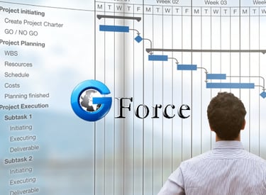 G Force Technology Consulting - Task Execution and Support