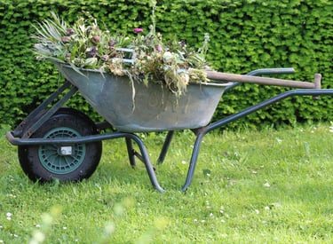 a wheelbarrow filled with plant clippings in a garden