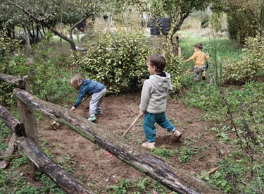 Joc lliure a la natura
