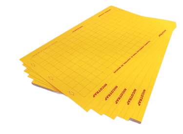 Trampas_Adhesivas_para_Moscas