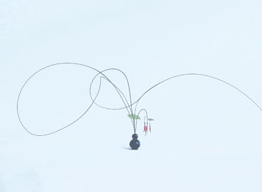 Sogetsu Ikebana by Kamil Szczepaniak