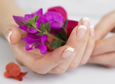 Beautiful Fingers (manicured with French styling) holding a Flower