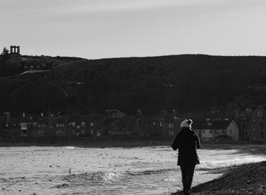 A monochromatic scenic view of Stonehaven