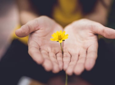 Photo mains et fleur de Lina Trochez sur Unsplash