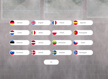 Flersproget understøttelse