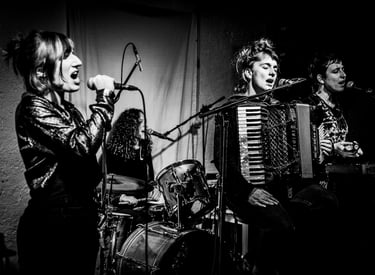 Photo de concert du groupe LA MEUTE