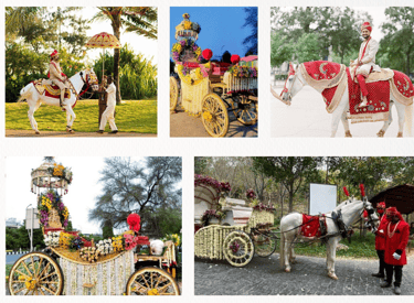 ROYAL GHODI AND BAGGI BY GEET EVENTS