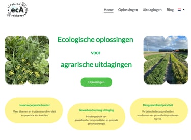 Eine klassische Website mit einem modernen Design zu einem Kräuterthema