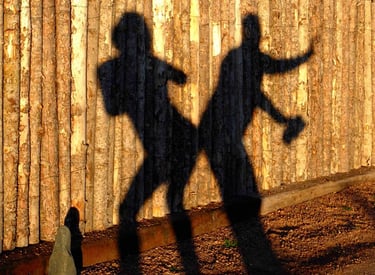 a shadow of a person on a fence