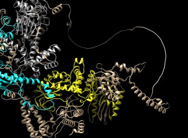 Análisis in silico de POLE predicha por AlphaFold por Dr. Pablo A. Méndez Médico Genetista