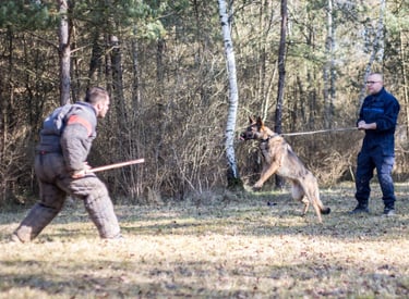 Un entrainement mordant police municipale