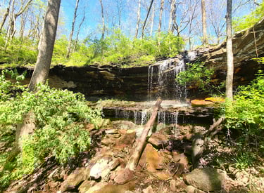 Huntsville, AL - Carter's Chalybeate waterfall off North Plateau Loop in Monte Sano Park