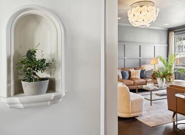 real estate photography of a plant in entry way to living room