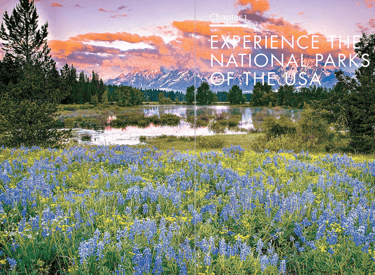 Wildflowers with a Grand Tetons background by a water backdrop