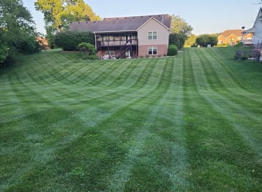 lawn care