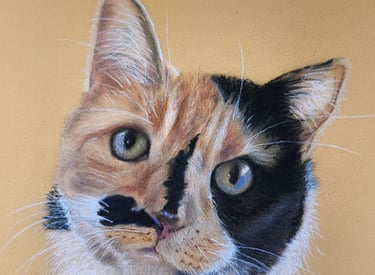 a cat with a mustache on it's face