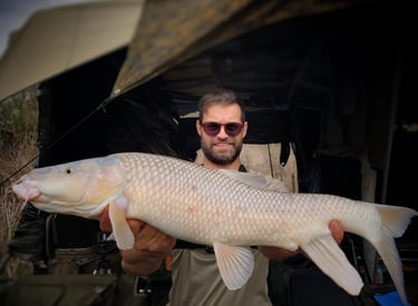 a man holding a large fish barbel fish