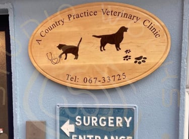Oval business inlay sign
