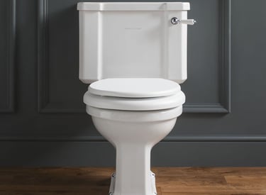 Toilet repair in Umberleigh