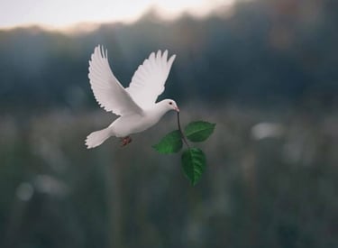 5 Prayers for Peace in the World