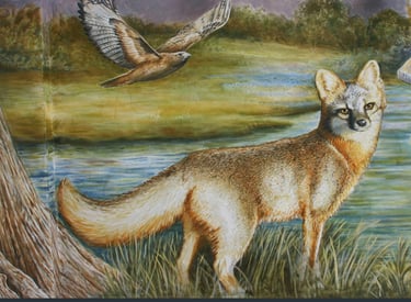 Detail of a red fox and red-tailed hawk from a 130-foot Texas Hill Country wildlife mural by Austin 