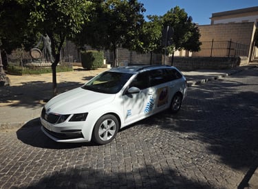 Taxi Jerez 160 - Taxi Jerez